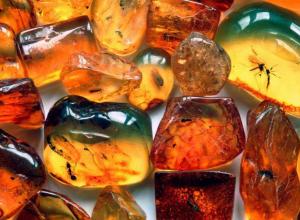 Amber stone: properties, meaning, origin and price