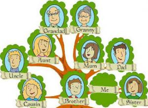 كيفية رسم شجرة العائلة: القوالب والبرامج