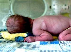 Ošetřování v inkubátorech Test na téma inkubátory pro předčasně narozené děti